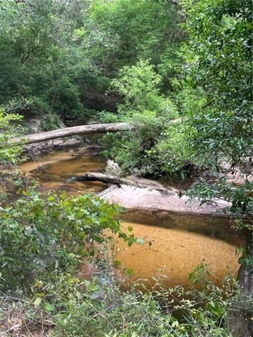 Creek